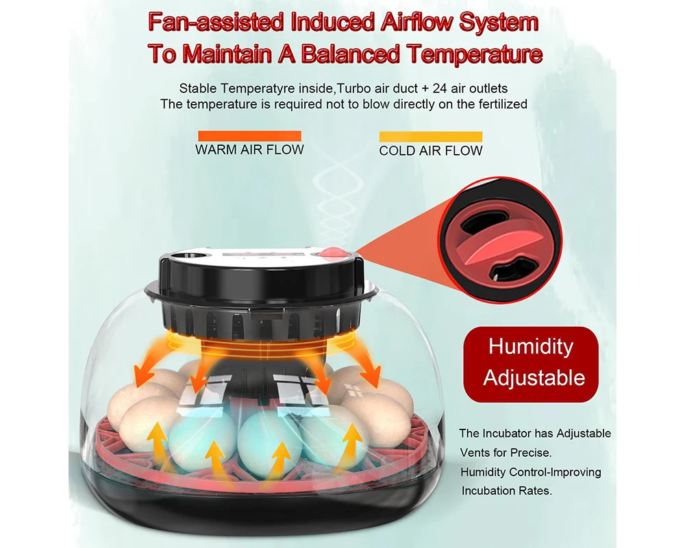 Egg Incubator Hatcher - Image 4