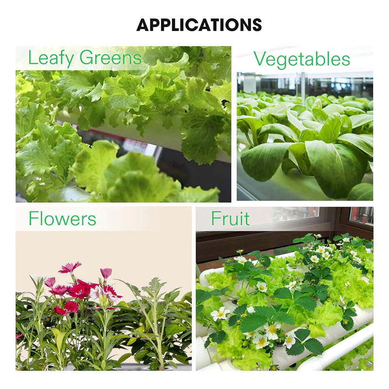 3 Layers Hydroponic Grow Kit - Image 5