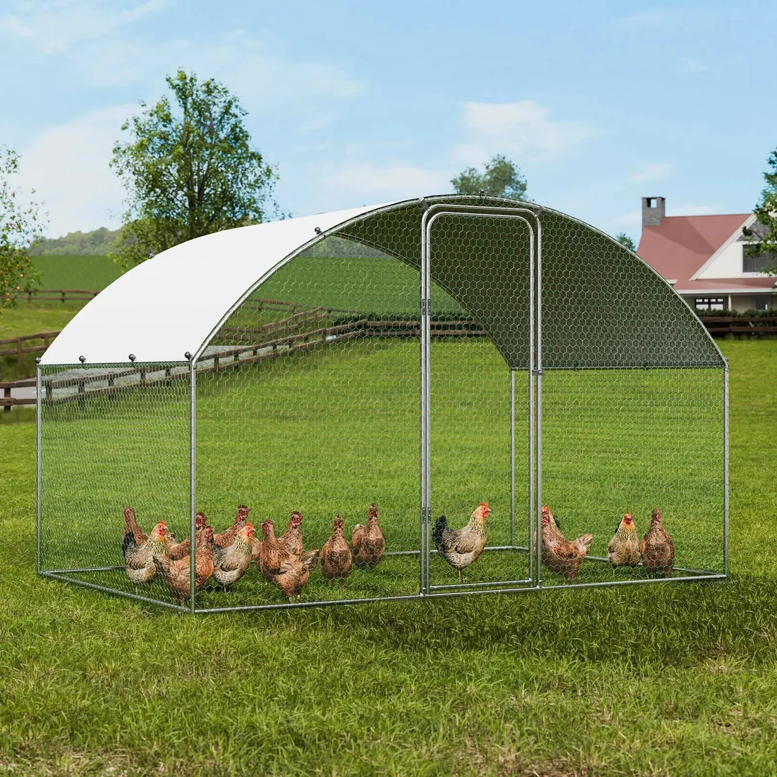 Outdoor Chicken Coop 3M x 2M x 2M - Image 5