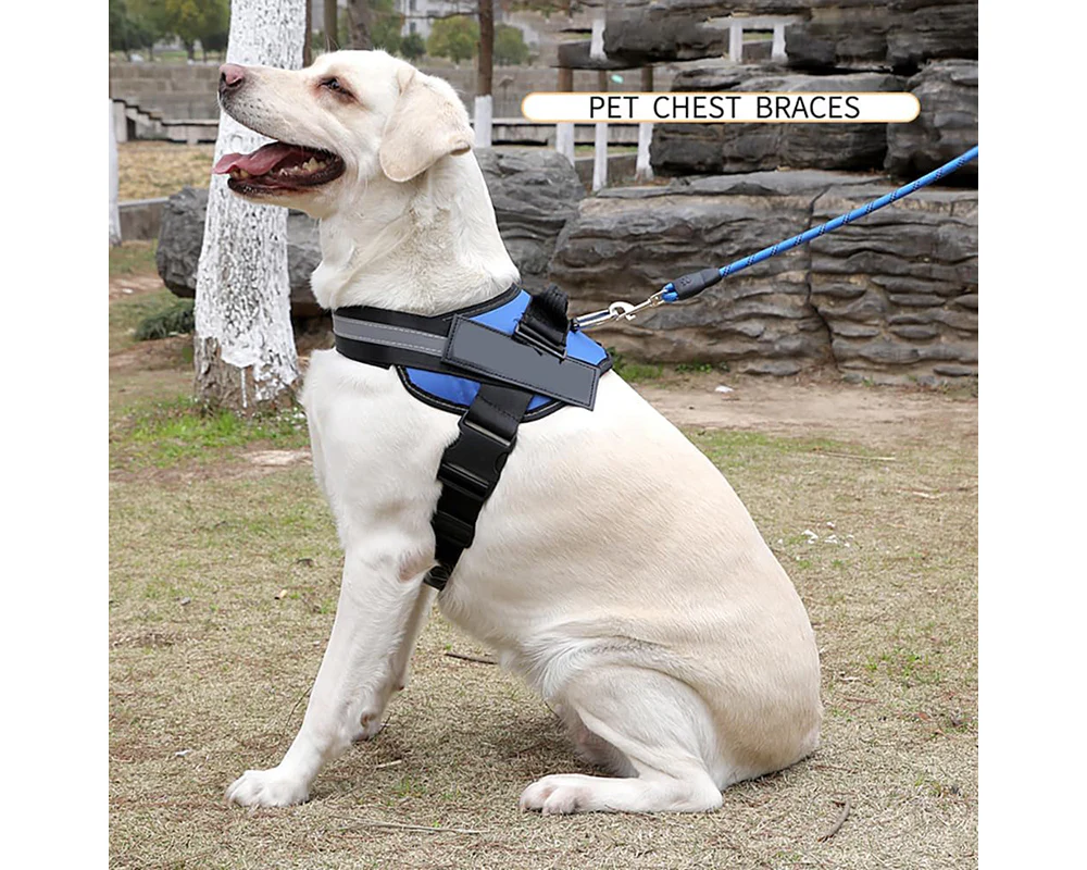 Adjustable Dog Harness - Image 7