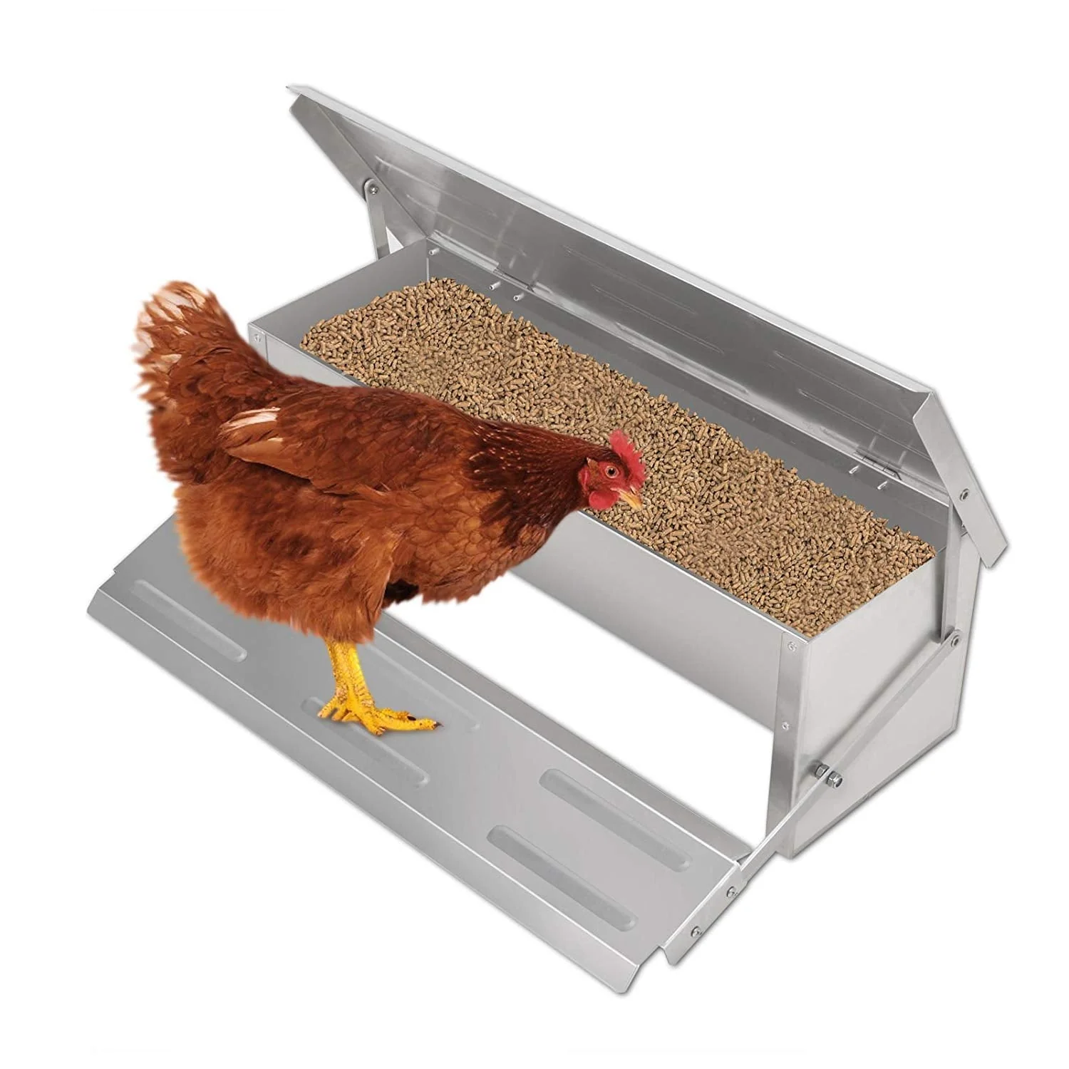 Automatic Chicken Feeder - Image 2