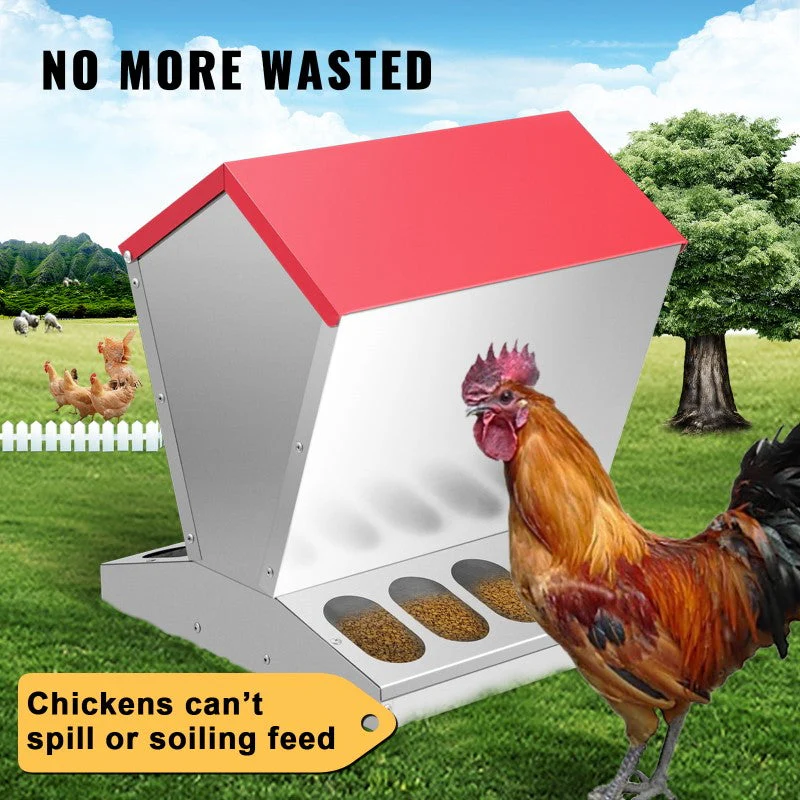 Automatic Chicken Feeder - Image 3