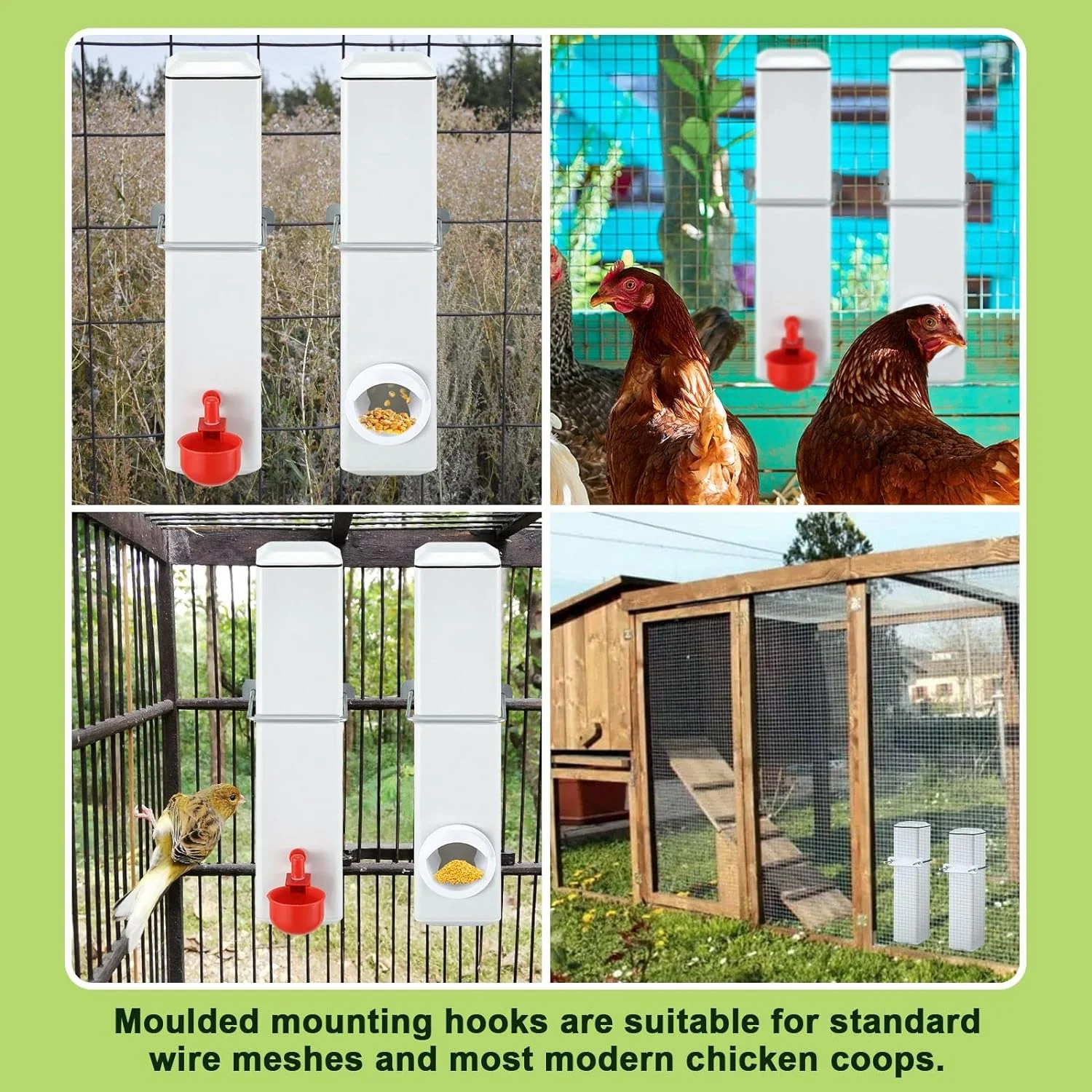 Automatic Chicken Feeder - Image 12