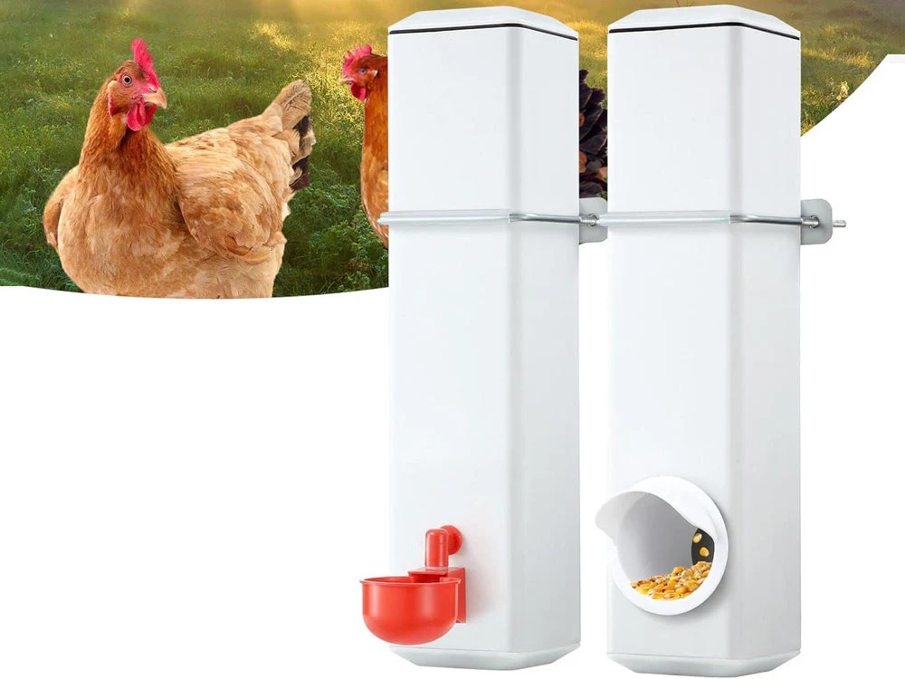 Automatic Chicken Feeder - Image 4