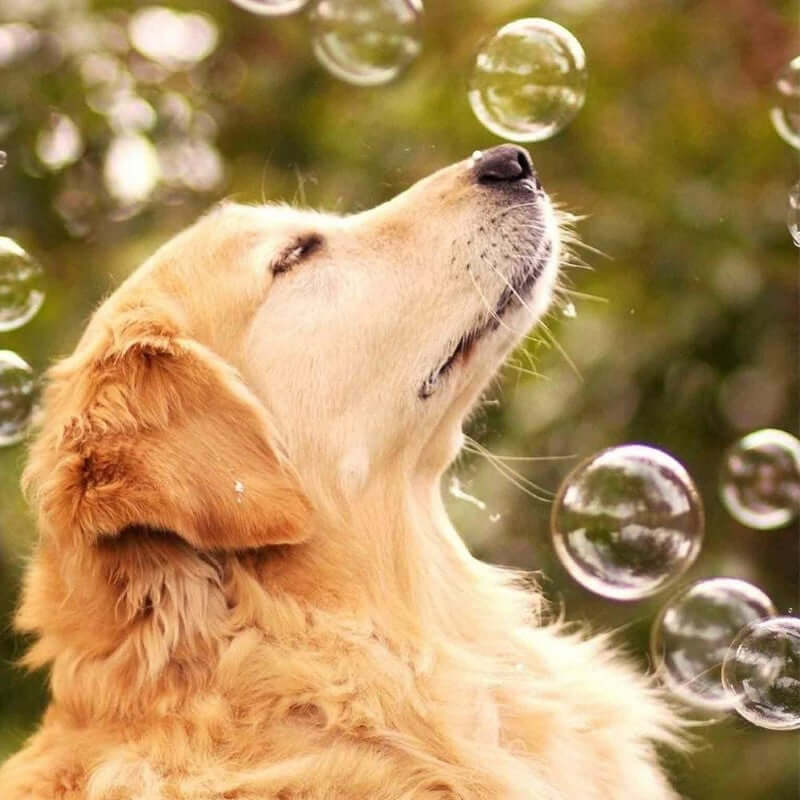Portable Automatic Bubble Machine with Wireless Remote - Image 7
