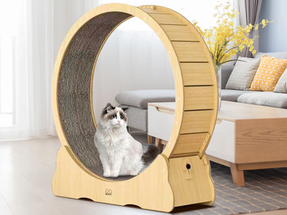 Cat Exercise Wheel Cat Scratcher Board - Image 11