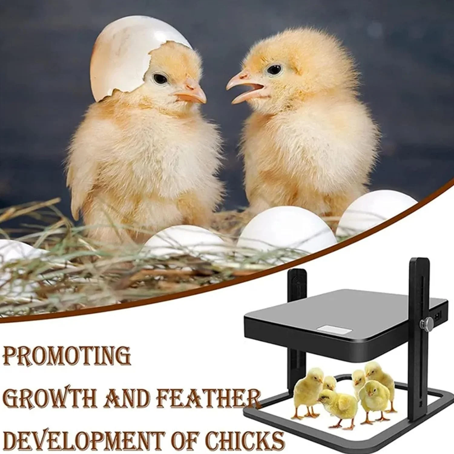 Chick Brooder Heating Plate Warmer Chicken Coop Heater - Image 12