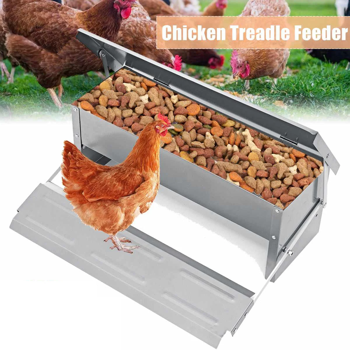 Chicken Feeder 10Kg - Image 3