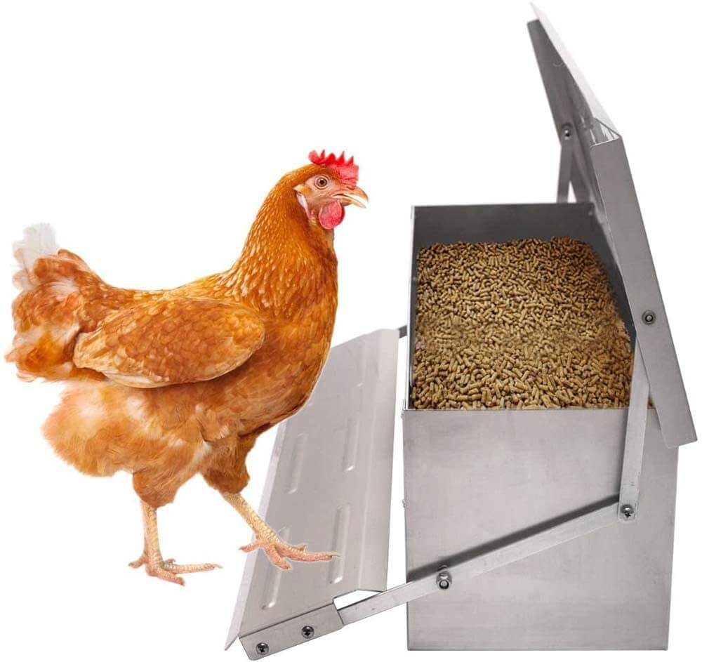 Chicken Feeder Automatic 10Kg - Image 6