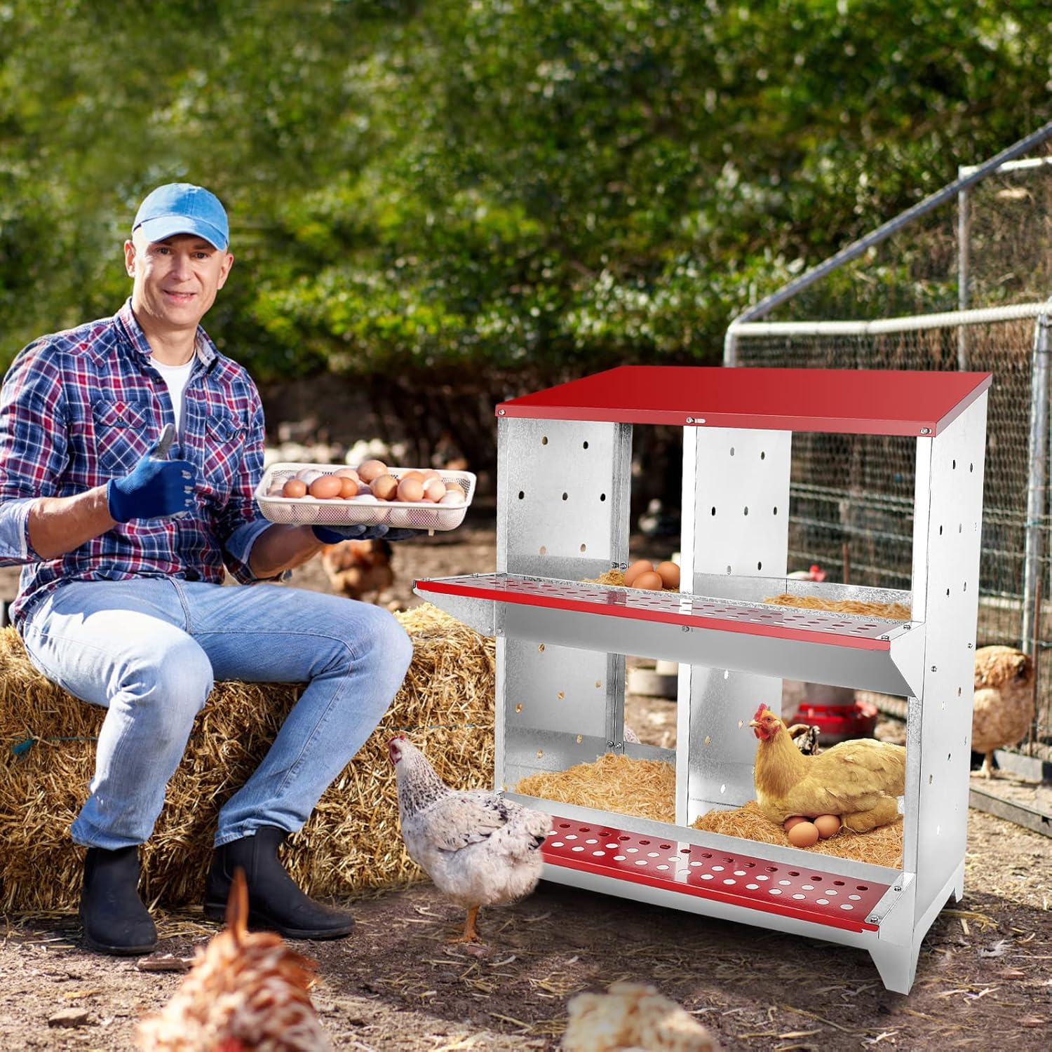 Chicken Nesting Box With 4 nests - Image 6