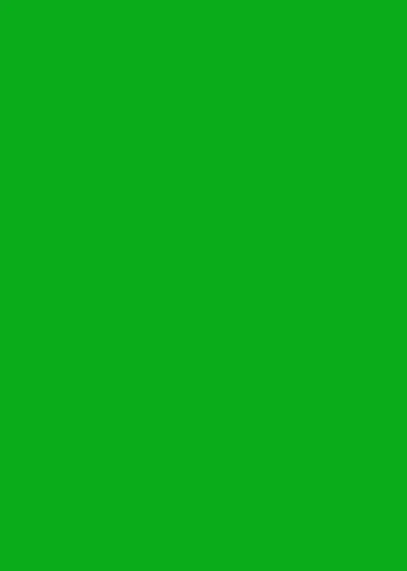 Chromakey Green Screen Backdrop 3mx2m - Image 4