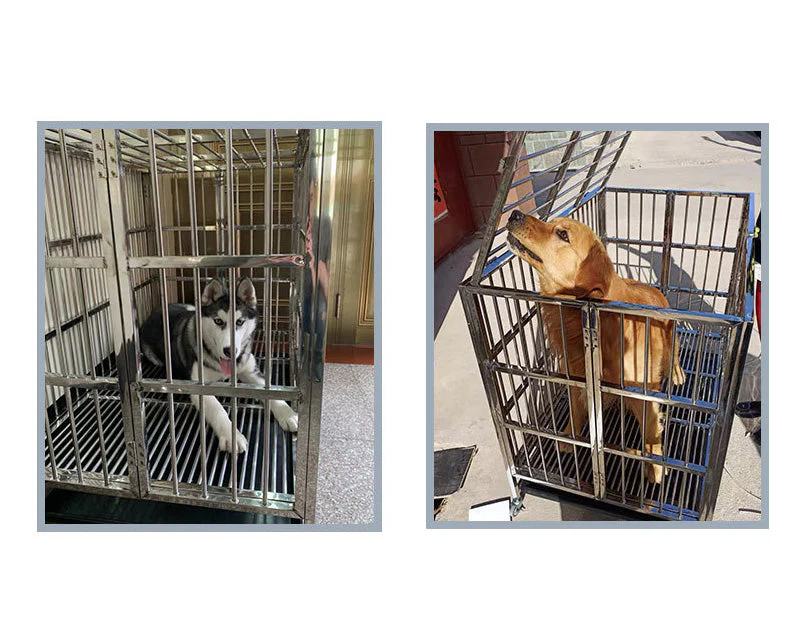 Collapsible Stainless Steel Pet Cage 110CM X - Large with Wheels - Image 3
