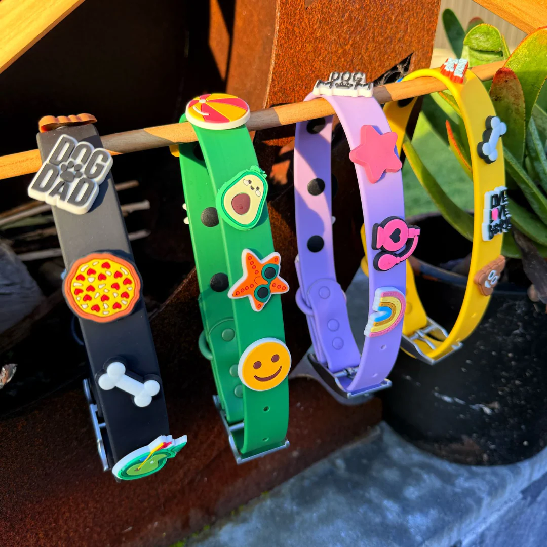 Dog Collar | Black - Image 10