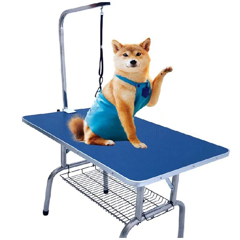 Dog Grooming Table - Image 11