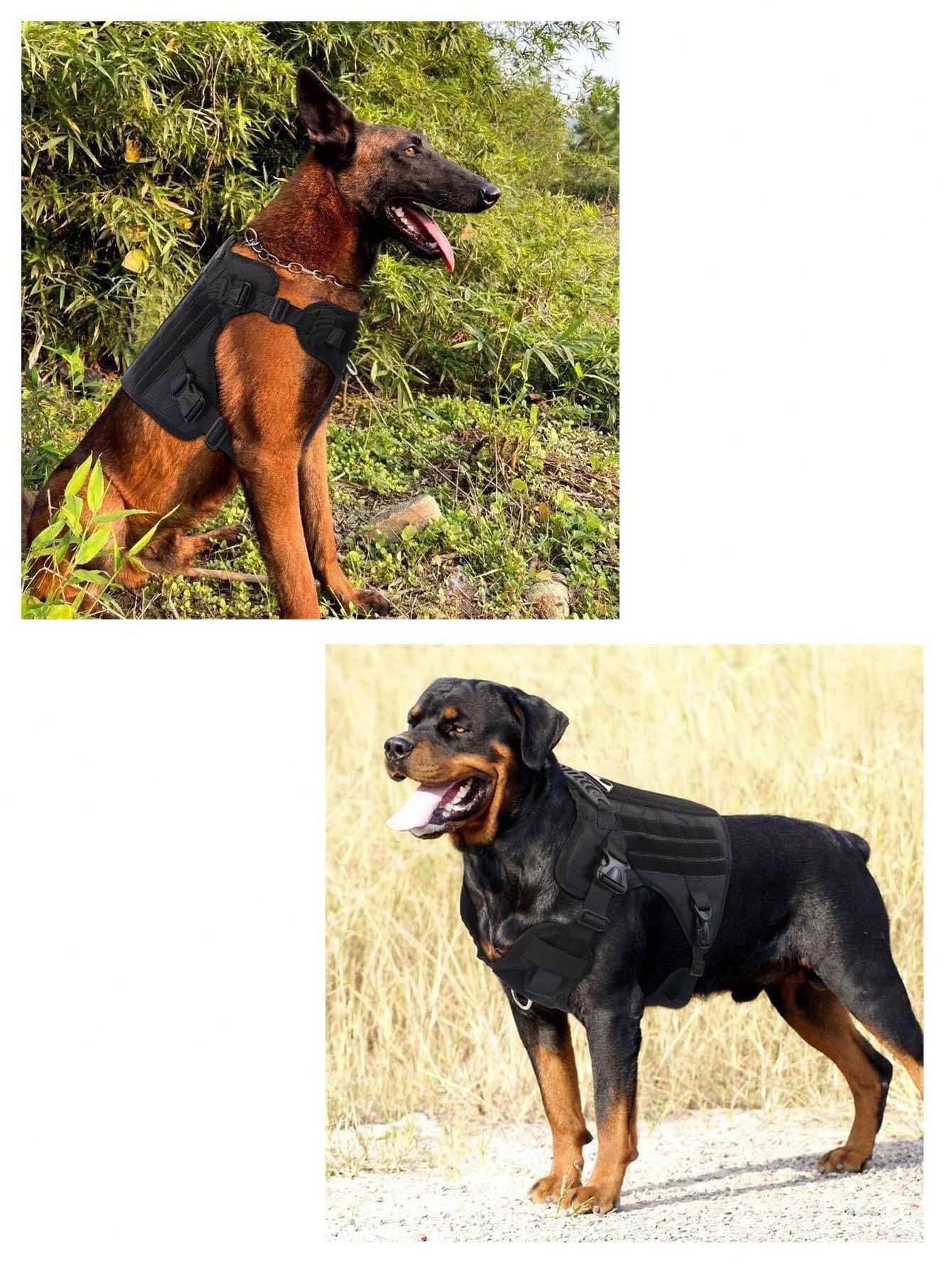 Dog Harness L Size - Image 10