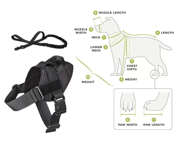 Dog Harness L Size - Image 14