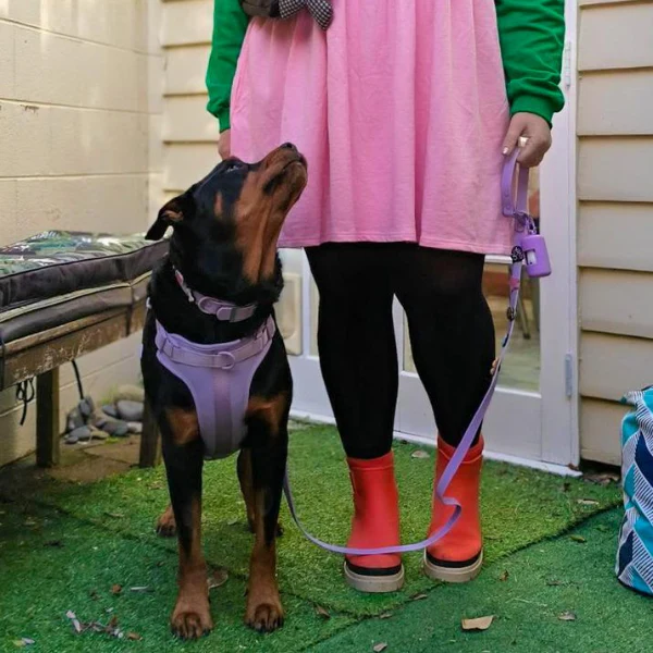 Dog Harness | Lilac - Image 3