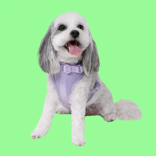 Dog Harness | Lilac - Image 4