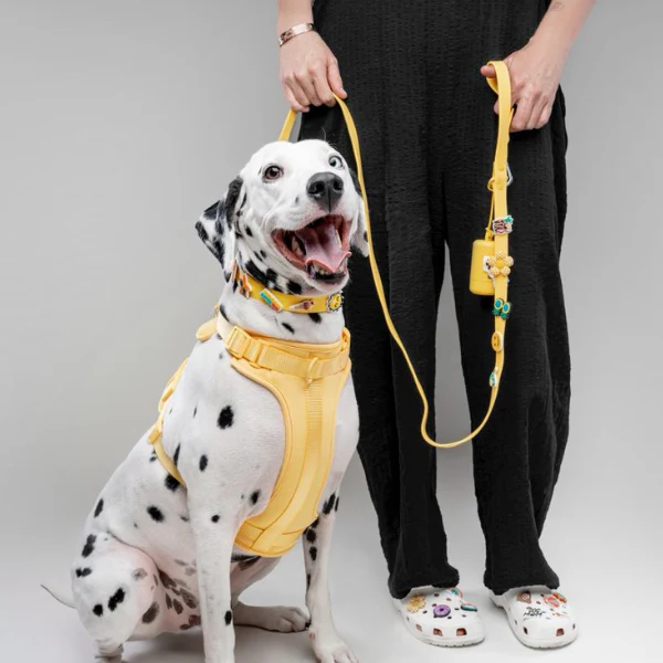 Dog Harness | Yellow - Image 5