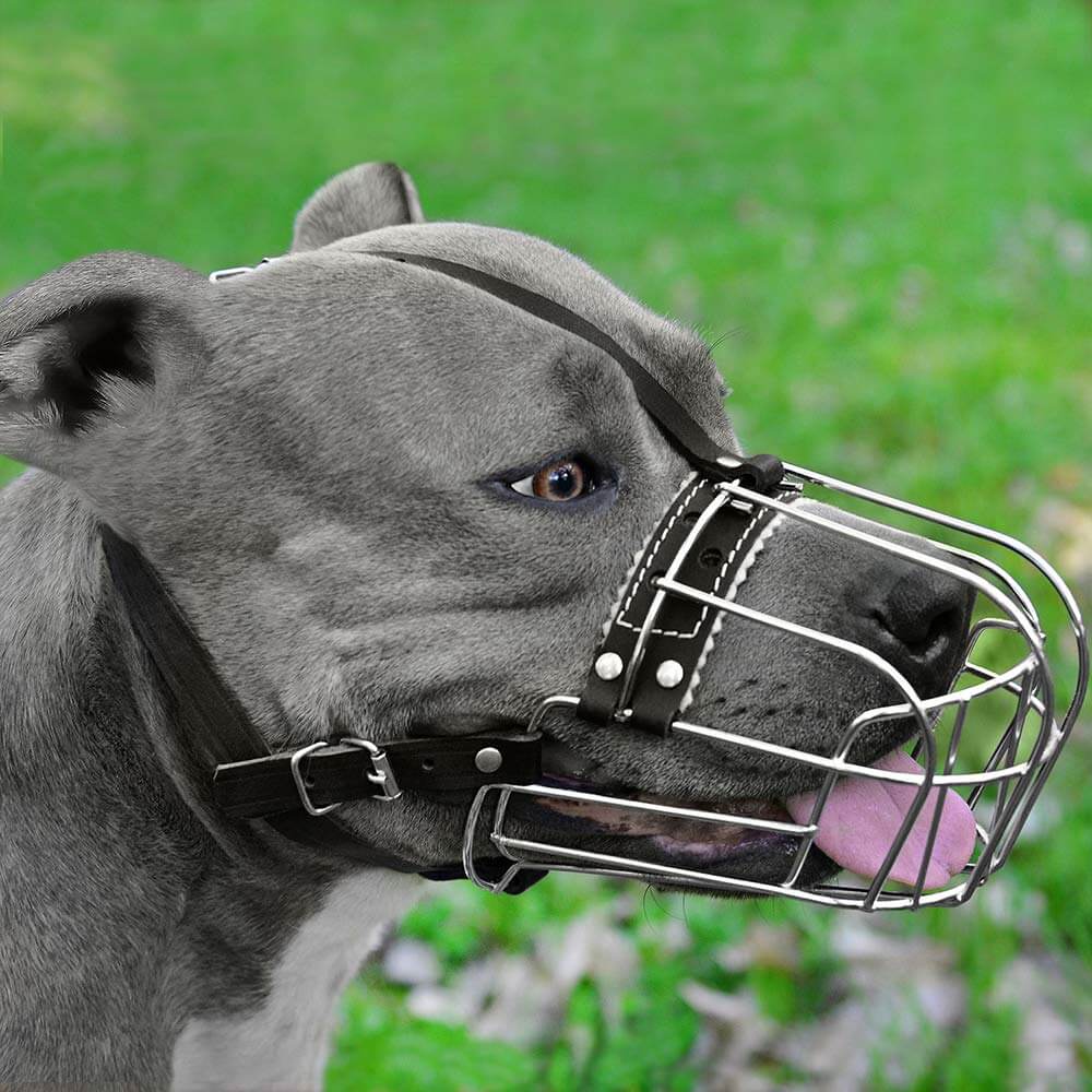 Dog Muzzle Wire Basket Amstaff Pit Bull Metal Mask Adjustable Leather Straps - Image 6