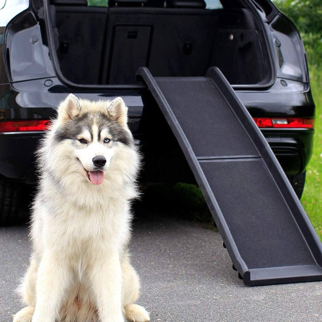 Dog Ramp Dog Stairs Dog Car Ramp - Image 2