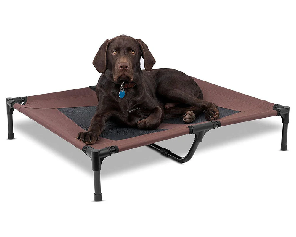 Dog Trampoline Bed - Image 2
