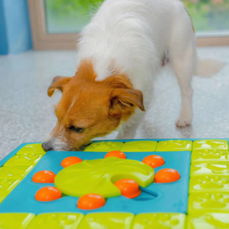 Dogs Food Puzzle Feeder Toys for IQ Training Mental Enrichment Dog Treat Puzzle - Image 3