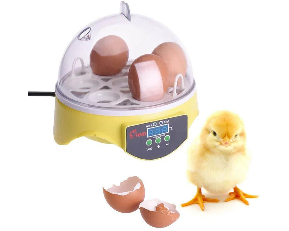 Egg Incubator Automatic 7 Eggs - Image 2