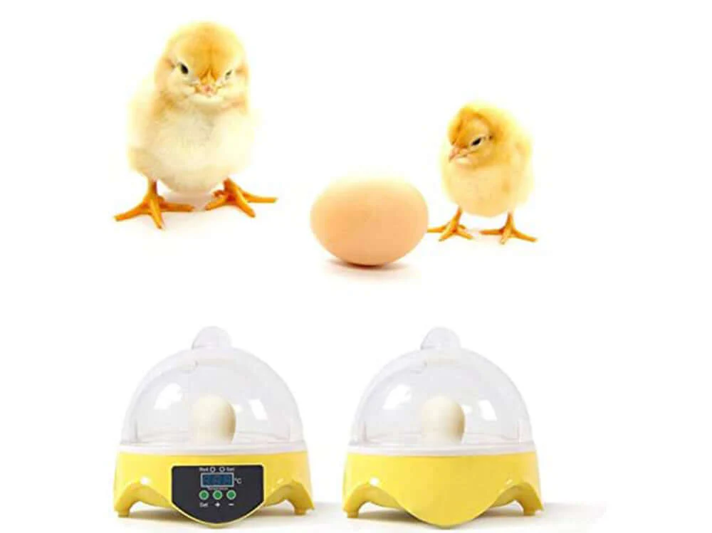 Egg Incubator Automatic 7 Eggs - Image 8