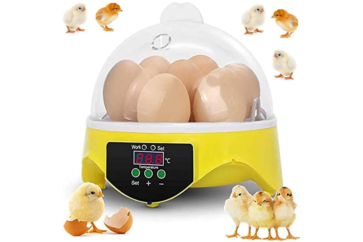 Egg Incubator Hatcher - Image 2