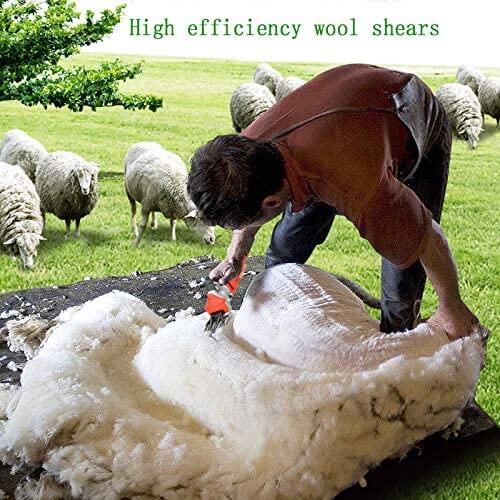 Electric Sheep Clippers - Image 5