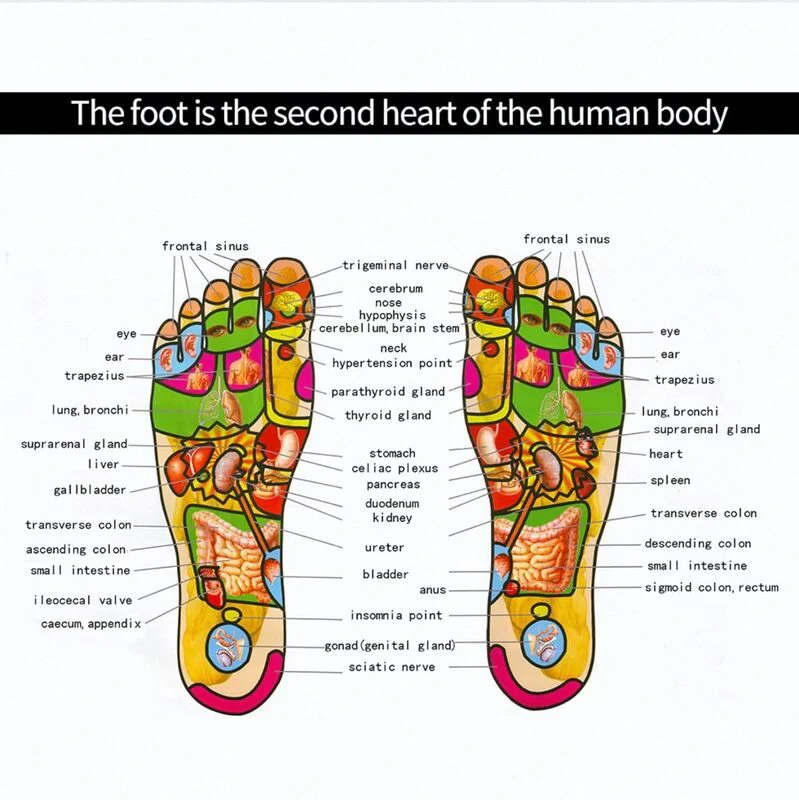 Foot Massager Mat TENS Machine Stimulator - Image 8