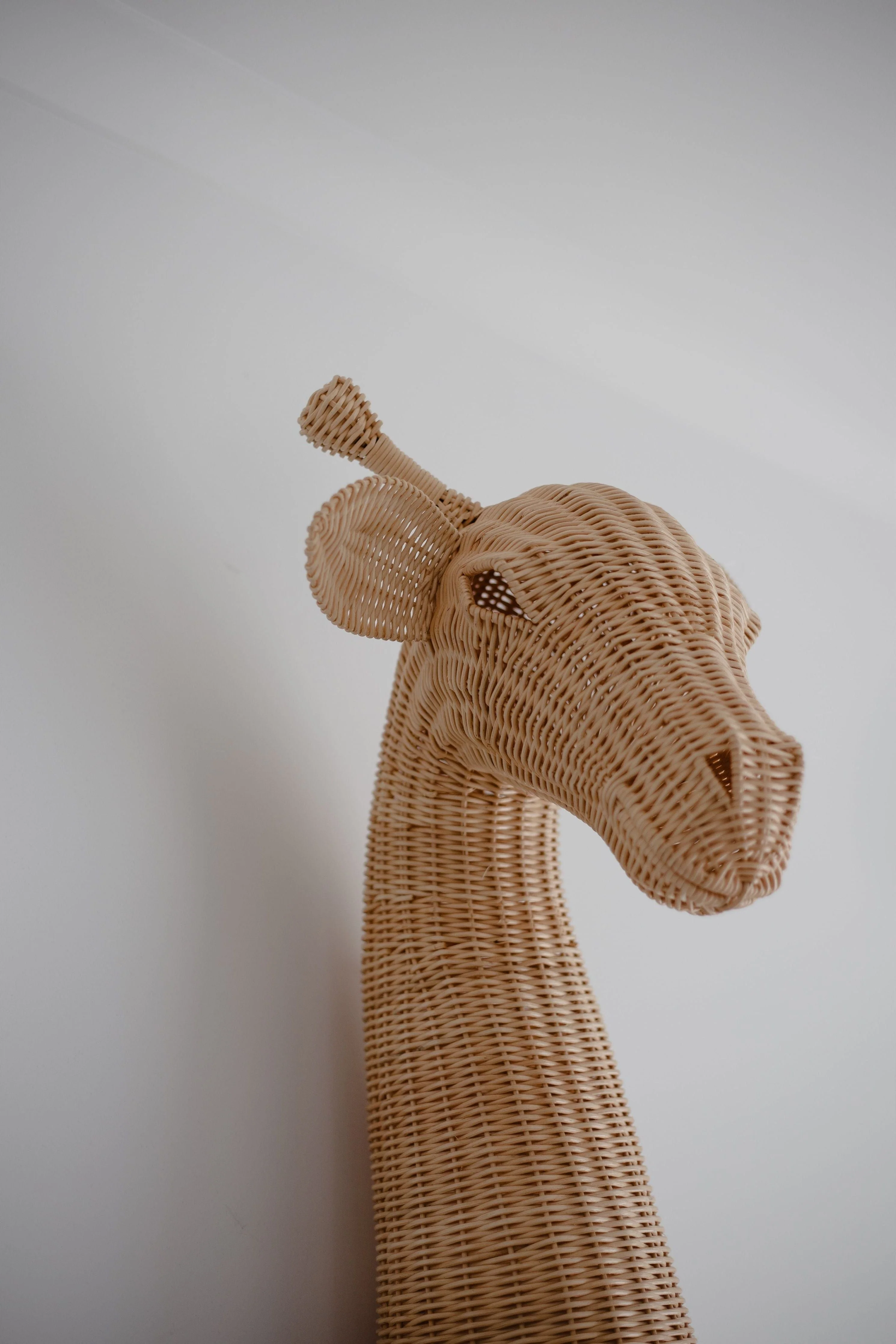 Gus the Giraffe - Image 2