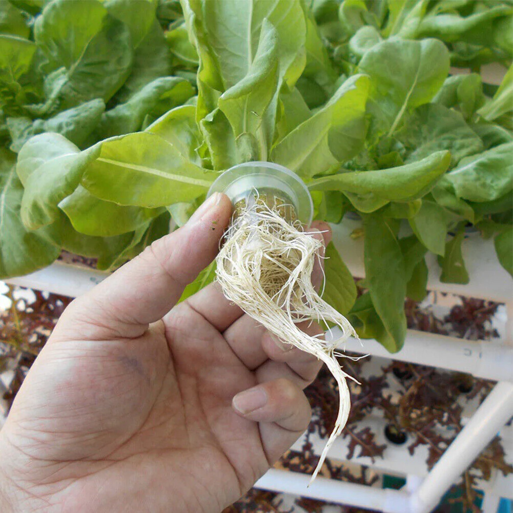 Indoor Garden Growing System Hydroponic Kit - Image 9