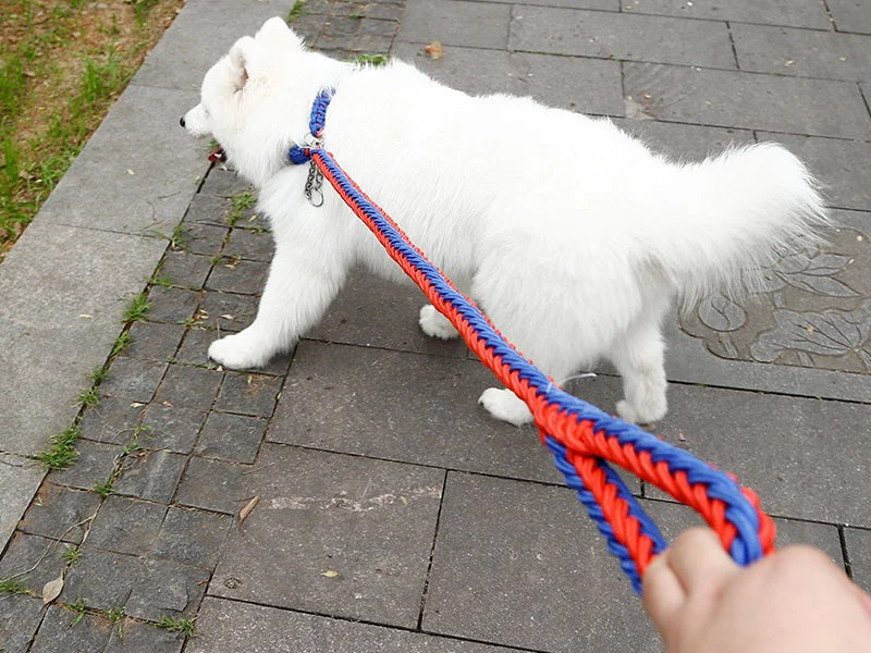 LARGE BLUE&RED Strong Dog Leash Climbing Rope Threaded Pet Training - Image 3