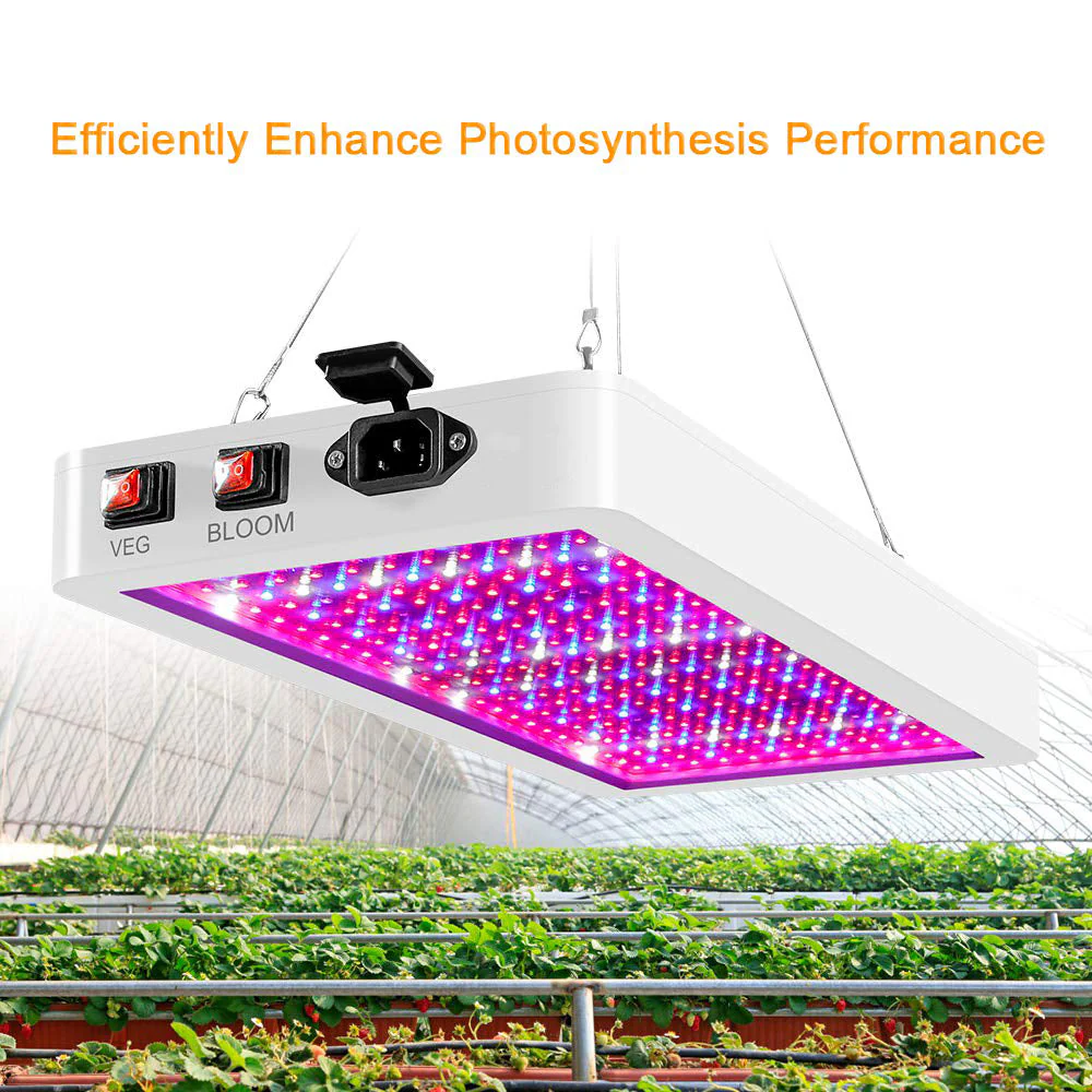 1000W Full Spectrum LED Grow Light – 216 LEDs - Image 7