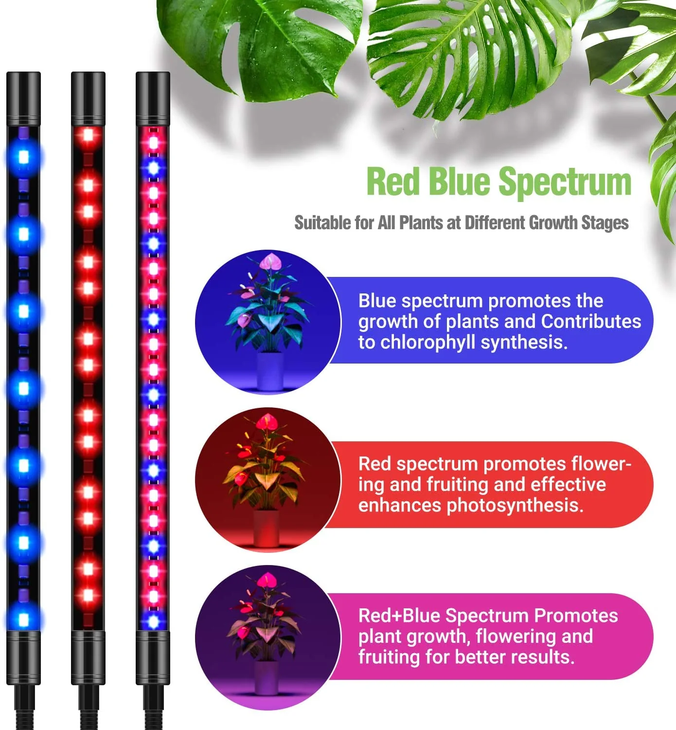LED Grow Light with Timer For Plants - Image 3