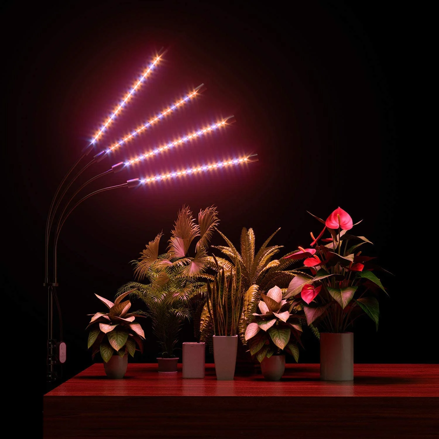 LED Grow Light with Timer For Plants - Image 8