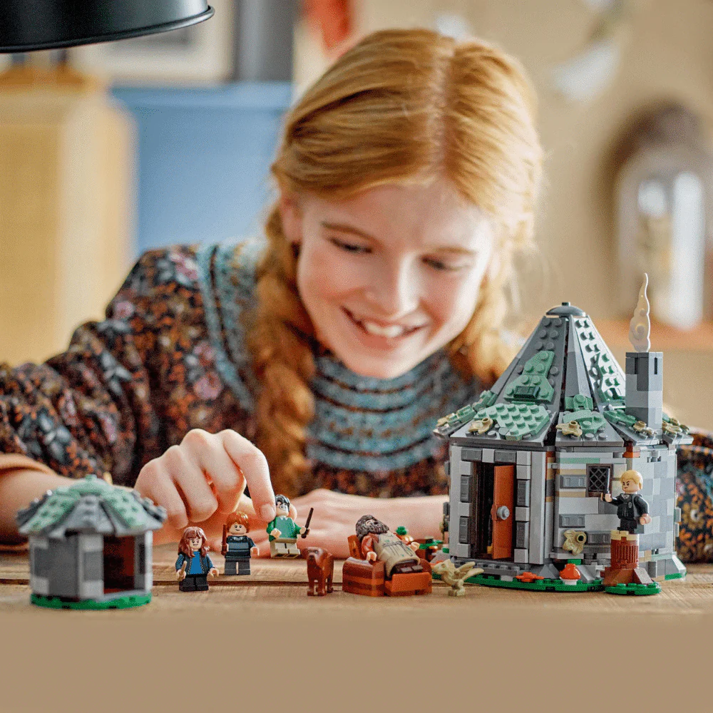 LEGO Harry Potter: Hagrids Hut: An Unexpected Visit (76428) - Image 3