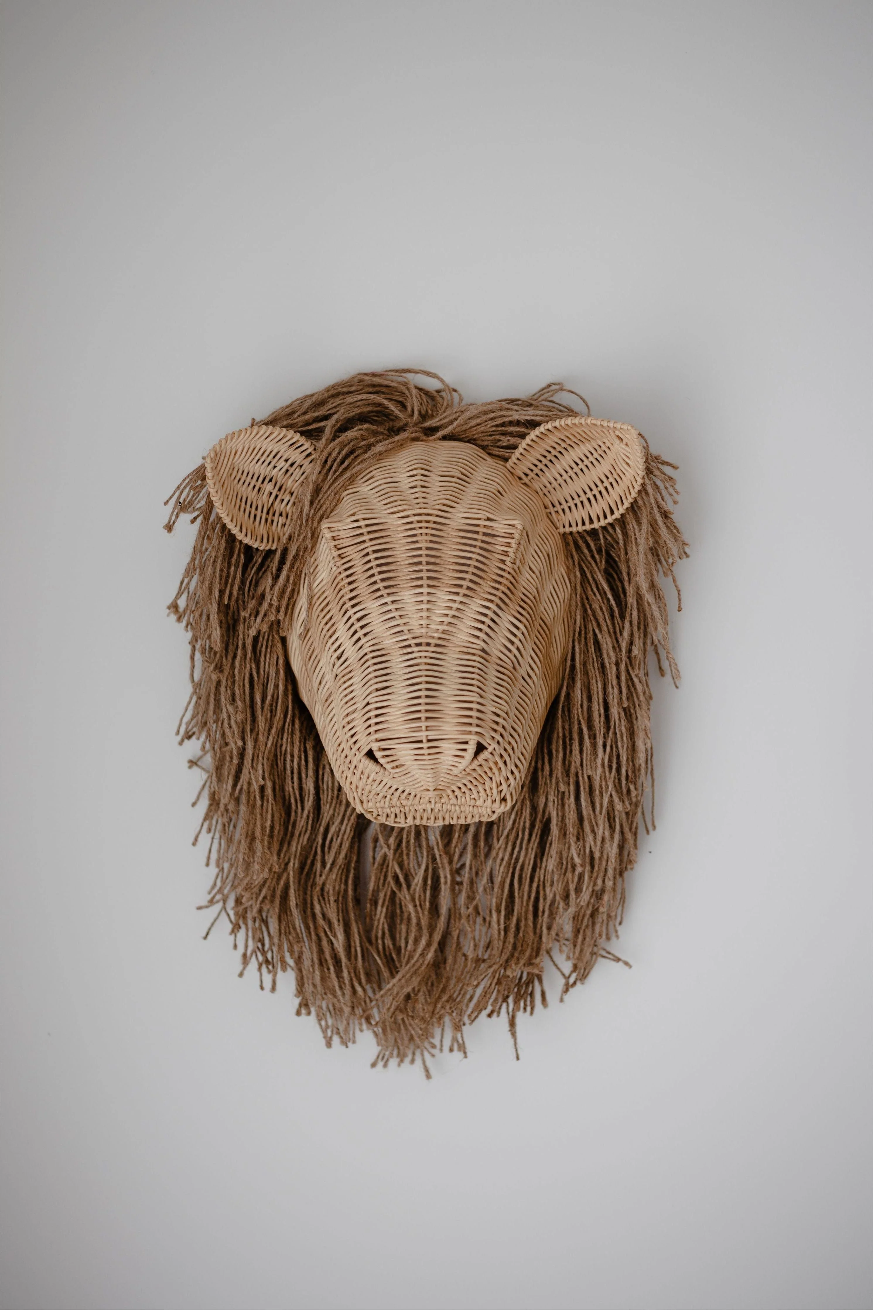 Lenny The Lion - Image 3