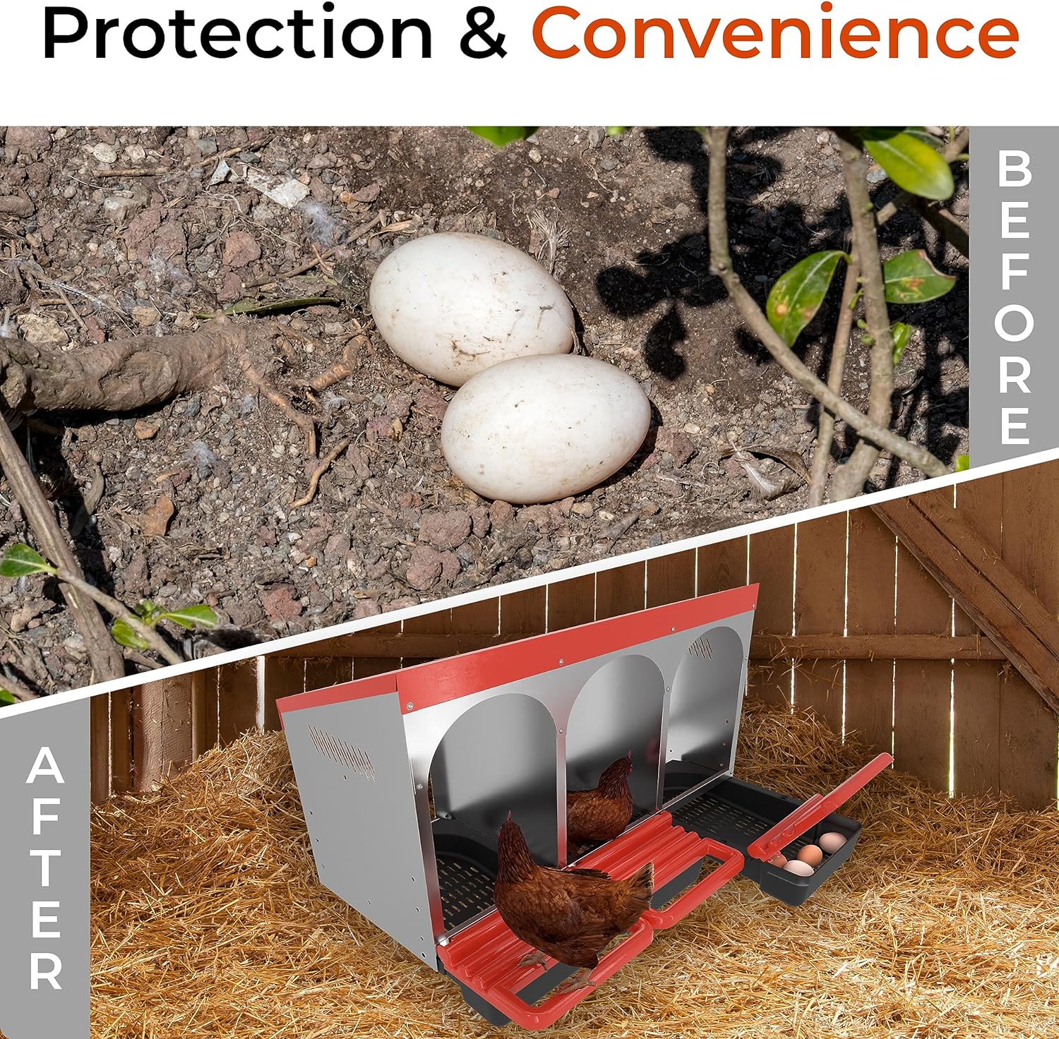 Nesting Box Chicken Hen Roll Away Laying Nest Boxes Chook Brooder 6 Compartment - Image 5