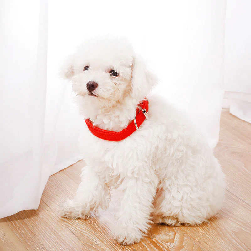 Nylon Dog Collar Multi Colours 4 * 70CM - Image 10