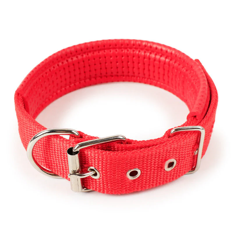 Nylon Dog Collar Multi Colours 4 * 70CM - Image 2