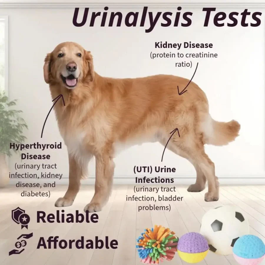 Pet Health Urine Test Strips - Image 10