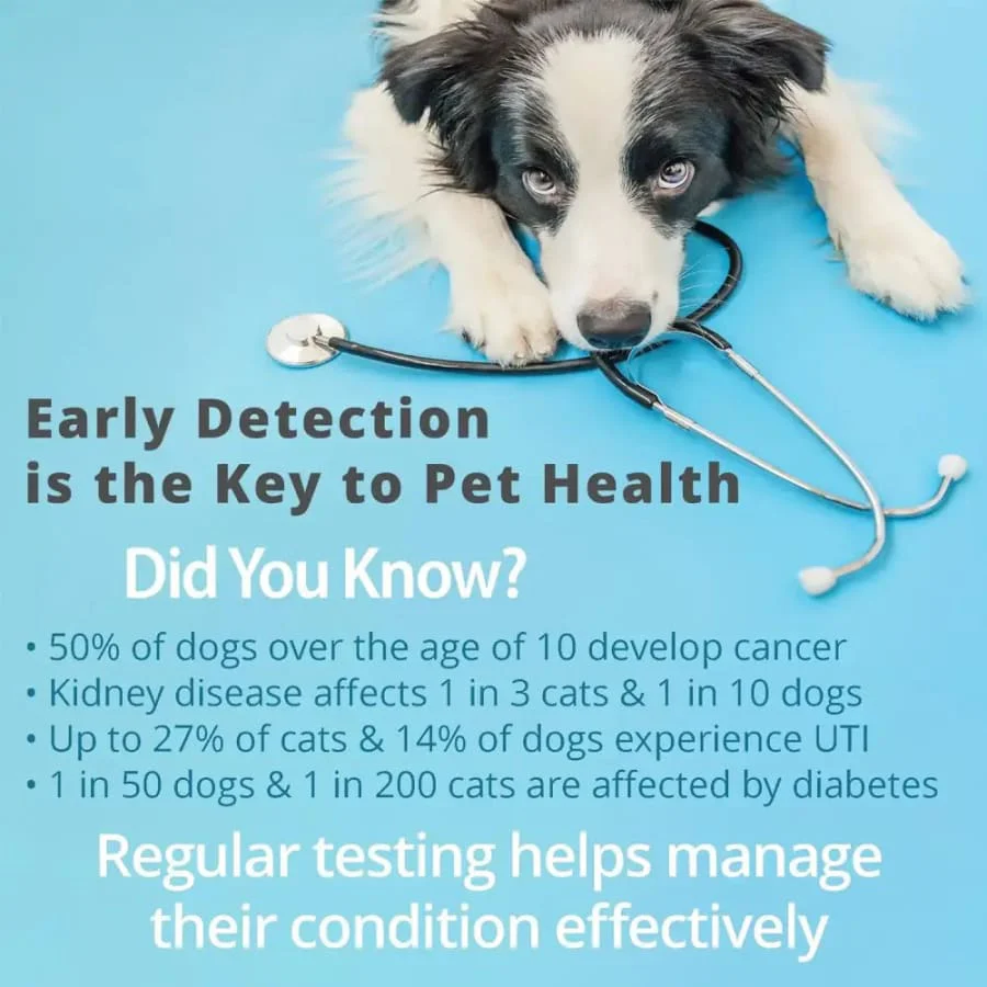 Pet Health Urine Test Strips - Image 5