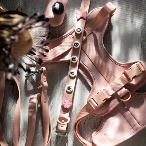 Plain Dog Lead | Blush Pink - Image 2