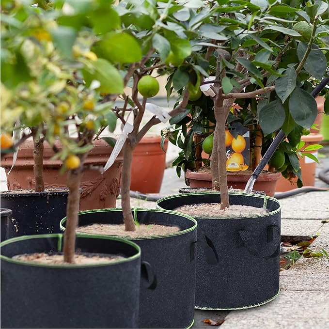Plant Grow Bag 4 Pack - Image 9