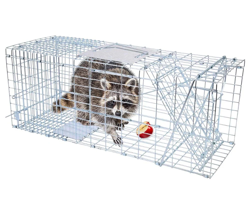 Possum Trap Large Animal Trap - Image 9