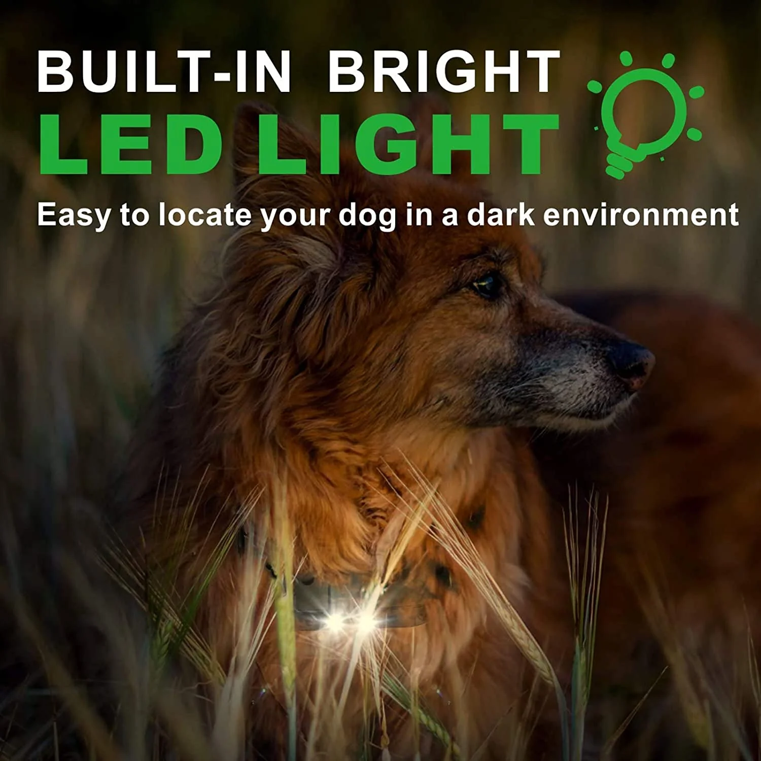 Rechargeable Anti Barking Training Collar - Image 4