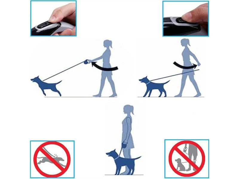 Retractable Dog Leash Tape 8M - Image 11